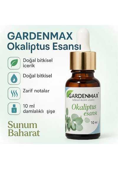 Buhurdanlık Esasnsı Okaliptus Okaliptus