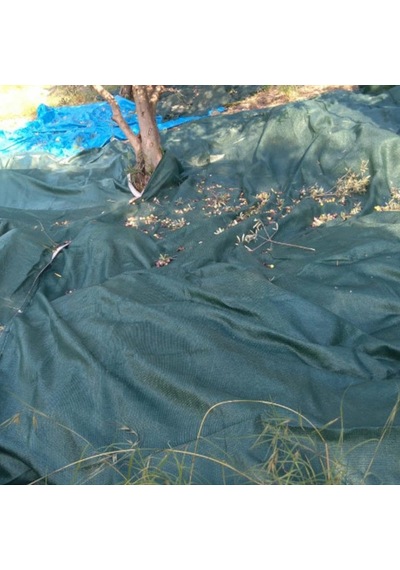 6x8 Metre Zeytin Sergisi Zeytin Toplama Filesi Fındık Fıstık Örtüsü Gölgelik Dut Meyve Sergisi Taban Örtü