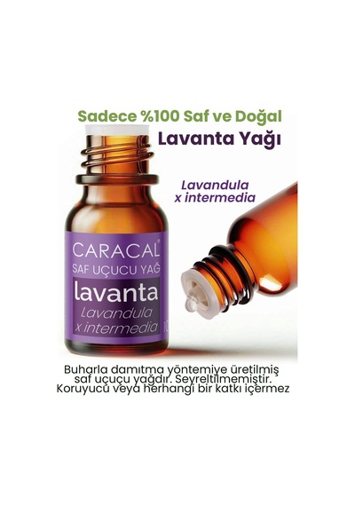 Caracal %100 Saf Lavanta Yağı 5ml Doğal Lavanta Uçucu Yağı 5 ML