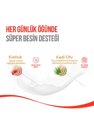 Wanpy Kediler İçin Dondurularak Kurutulmuş Lolipop - Kızılcık - 1.4 G