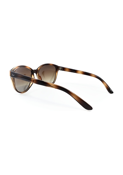 Cool 324 C6p 55 Leopar