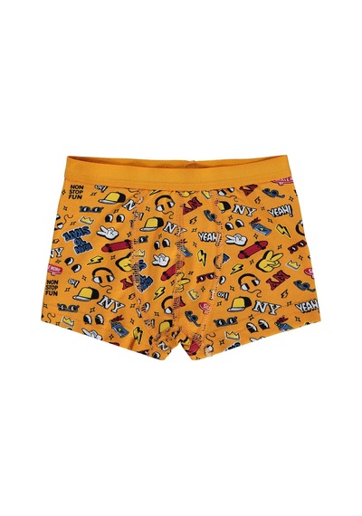 Civil Boys Funny 2-10 Yaş Erkek Çocuk 2'li Boxer - Standart