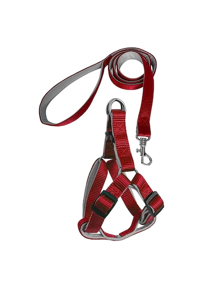 Markapet Gezdirme Kayışlı Dokuma Köpek Göğüs Tasma Seti Kırmızı 60-110 CM Kırmızı