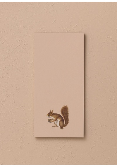 The Mia Art Line Mini Notluk Squirrel 10 X 21 Cm 40 Yaprak