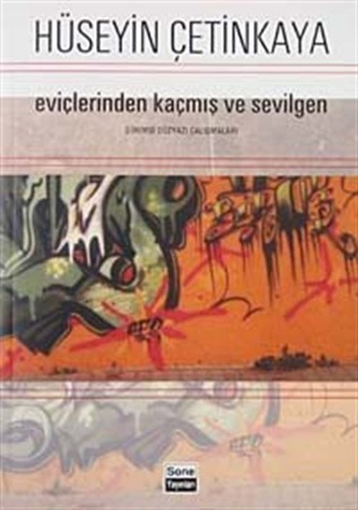 Eviçlerinden Kaçmış ve Sevilgen- Sone Yayınları