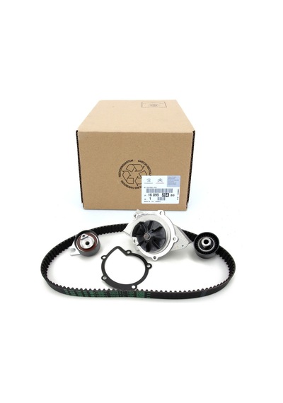 Triger Set Devirdaim 19876870