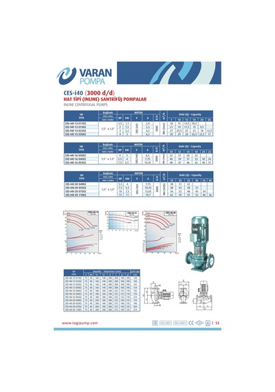 Varan Ces-ı 40-13-03002 İn-line Döküm Santrifüj Pompa 4 Hp / 3 Kw, Trifaze 380 V, 30 Mss, 25 M3/h