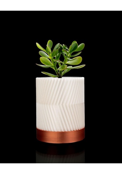 Greennest Mini Duvar Saksısı Sukulent Dekoratif Duvar Saksısı-8