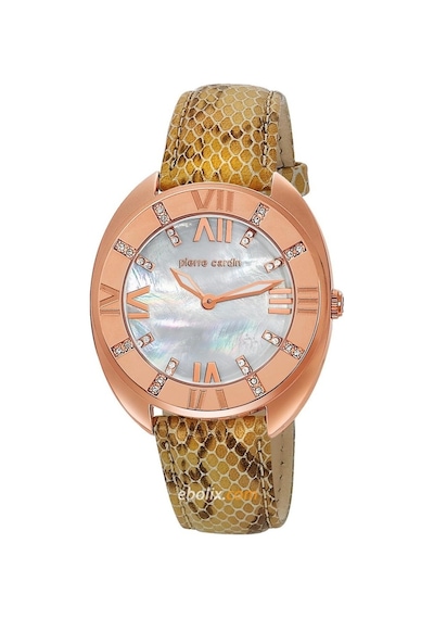 Pierre Cardin PC105272F04 Kadın Kol Saati