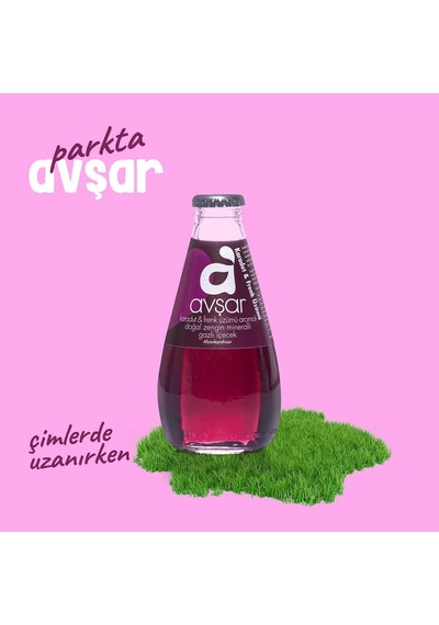 Avşar Karadut Frenk Üzümü Aromalı Maden Suyu 200 Ml X 24 Adet