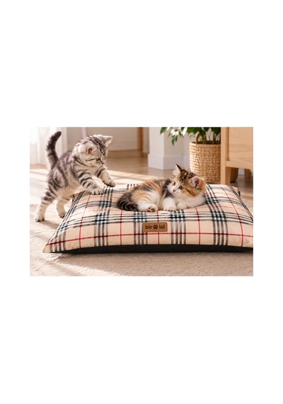 Kedi Ve Köpek Yer Minderi Üst Kalite Yıkanabilir Kılıflı Fermuarlı Boncuk Elyaf Kaydırmaz Taban Kedi Ve Köpek Yatağı Danish Bej 1717174337