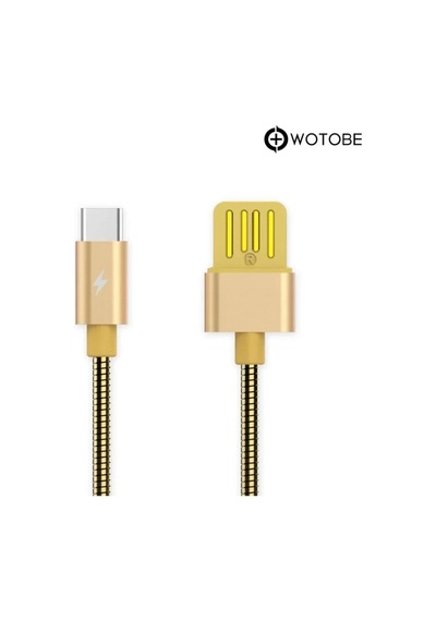Usb Type-c Çelik Spiralli Şarj Data Kablosu