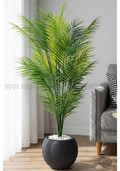 Biçiçek Areka Ağaci 24 Yapraklı 130 Cm Antresi̇t Küre Saksıda