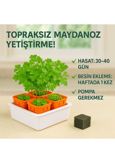 Topraksız Tarım Seti Hobi 6 Bölmeli Mini Hidroponik Bahçe Seti
