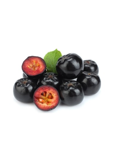Aronia Aronya Fidanı 10-20 Cm