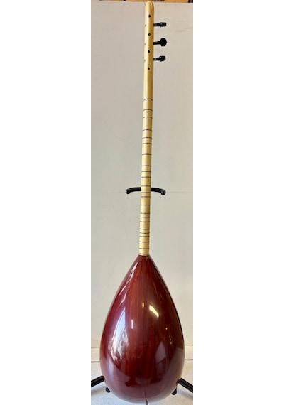 Profesyonel  Uzun Sap Ardıç Bağlama