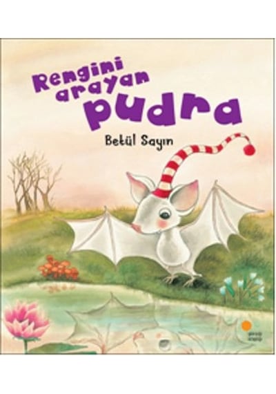 Rengini Arayan Pudra Diğer