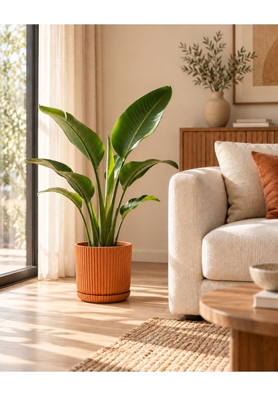 Lınje Dekoratif Saksı Turuncu 20 Cm 5 Lt İç & Dış Mekan Pp Saksı