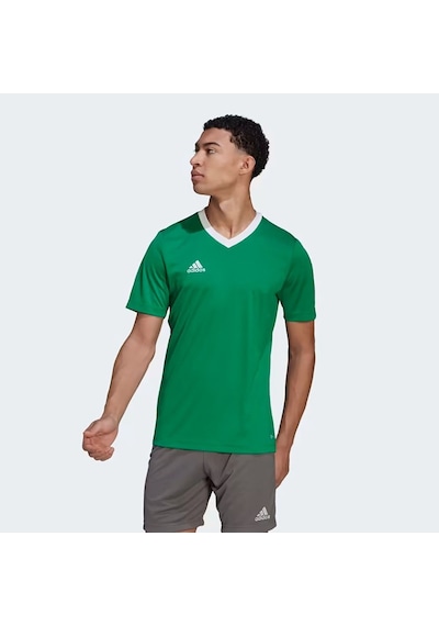 Adidas Teagrn/whıte Ent22 Jsy Null