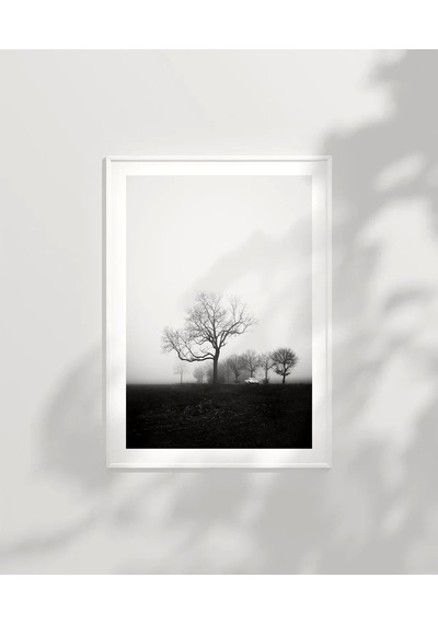 Çerçevesiz Poster Sessiz Bir Sabah