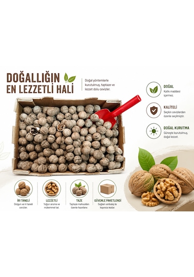 Yerli Ata Tohumu Topak Cinsi Yağlı Kabuklu Ceviz 1 KG