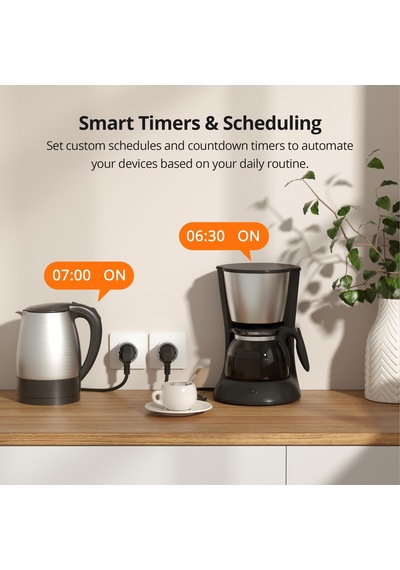 Sonoff S60 Zigbee Akıllı Priz S60zb