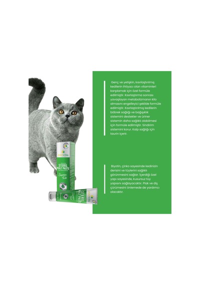 Kediler İçin B Plus Damla 50 Ml + Steril Malte Paste 100 Gr Kısırlaştırılmış Kediler İçin Vitamin