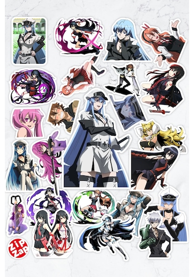 Akame Ga Kill Anime Telefon Laptop Bullet Journal Sticker Paketi 24 Adet Çok Renkli