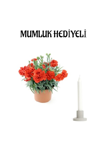 Öğretmenler Günü Hediyesi Kırmızı Karanfil Çiçeği Mumluk Hediyeli