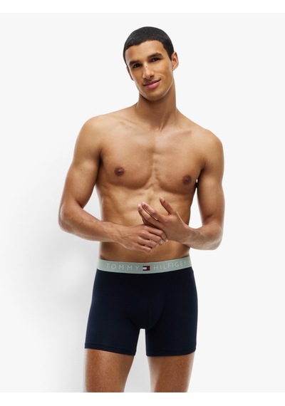 Tommy Hilfiger 3p Boxer Brıef Wb Erkek Sarı Boxer - Um0um03969