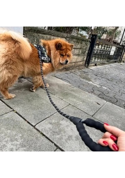125 Cm Reflektörlü Köpek Gezdirme İpi - Küçük, Orta Ve Büyük Irklar İçin