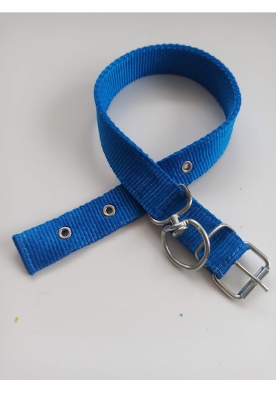 Kozaklı Küçük Irk Köpek Tasması Mavi 50 x 2.5 CM Mavi