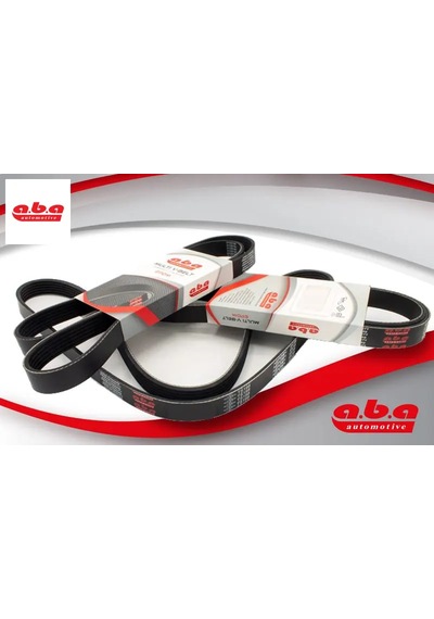 Kanallı Kayış Transporter 2.8 Vr6 00-03 -cıvıc 2.0 Type R 16v 01-05 - Aba Rulman 1195060u05/ 31110pra013/ 022145933f