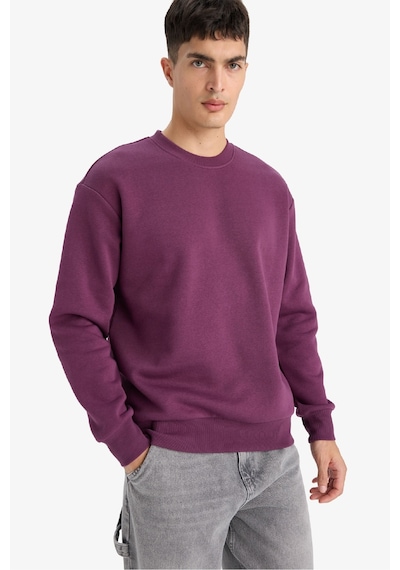 Defacto Relax Fit Bisiklet Yaka Kalın İçi Yumuşak Tüylü Basic Düz Sweatshirt T5139az25aupr79 Mor