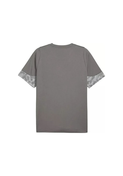 Puma Teamcup Training Jersey Erkek Futbol Tişörtü 65916713 Gri Gri