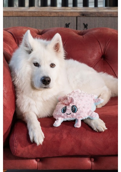 Sesli Ahtapot Köpek Oyuncağı Peluş Zilli Vikvikli Çift Taraflı Çekiştirme Oyuncağı