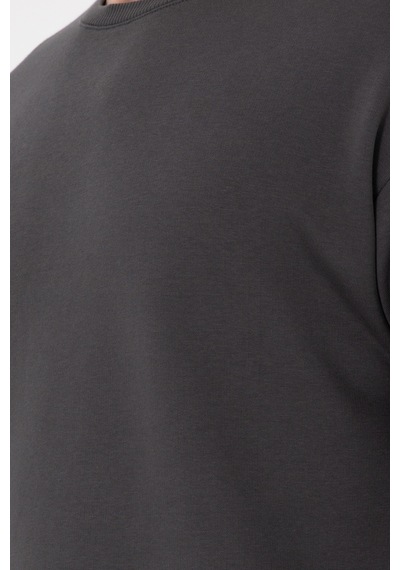 U.S. Polo Assn. Erkek Comfort Fit Bisiklet Yaka Antrasit Sweatshirt 50293438-VR006