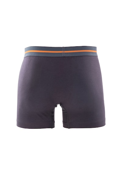 3 Lü Redzone Pamuk / Lycra Antrasit Erkek Boxer