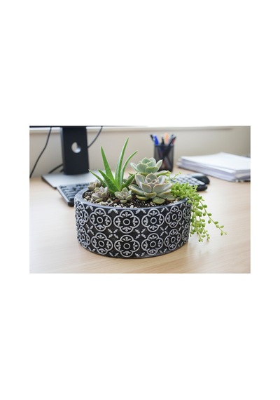 Beton Saksı Sukulent Bonzai Teraryum Arajman Çiçek Saksısı 18x7cm Bitki Hariç Siyah -gümüş