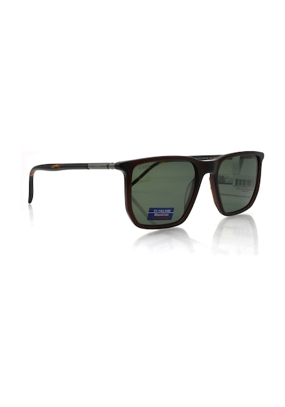 U.s. Polo Assn. U.s.p.a. 0518 C2 54-19-145 Güneş Gözlüğü Kahverengi