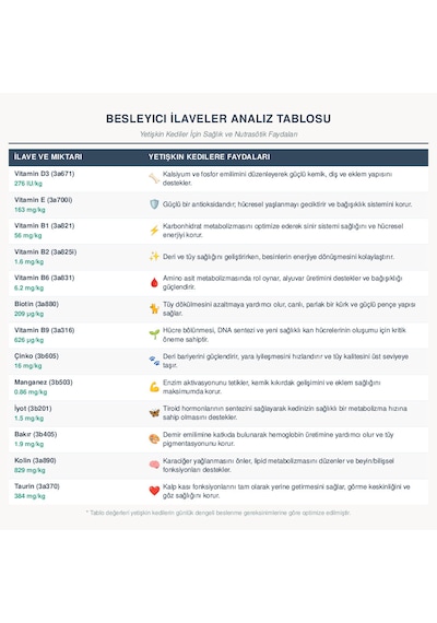 Anatolian Premium Kuzulu Parça Etli Yetişkin Kedi Konservesi 24 X 400 G