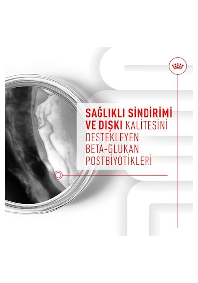Immunity&digestion Chews Bağışıklık Ve Sindirim Sistemini Destekleyen Tamamlayıcı Ödül Maması 100g
