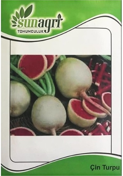 Çin Turpu Tohumu 2 Gr. - 4 Saksı+torf Hediye
