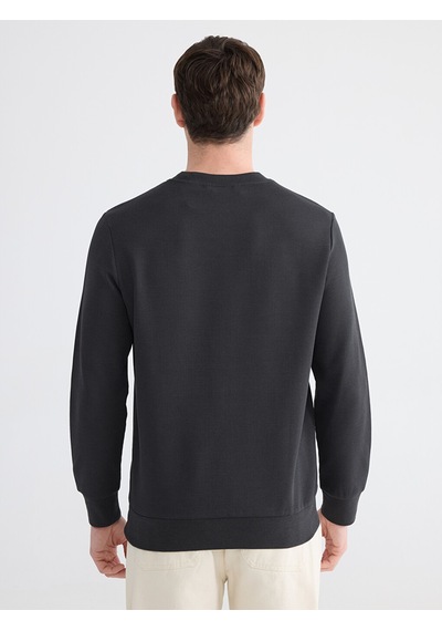 Lcwaıkıkı Classic Antrasit Bisiklet Yaka Erkek Sweatshirt