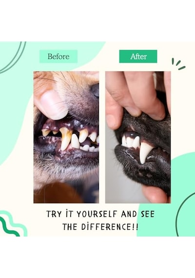 Pugalo Kedi Suya Damlatılan Koku Önleyici Ağız Ve Diş Bakım Damlası