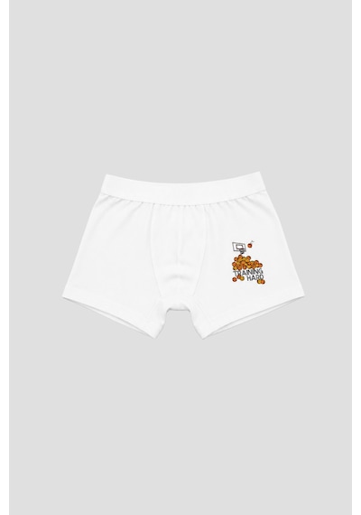 Defne Baby Erkek Çocuk Desenli Premium Pamuklu 2'li Boxer Seti Çok Renkli