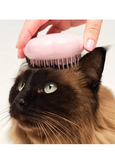 Tangle Teezer Pet Teezer Cat Grooming Brush Kedi Bakım Fırçası Pembe