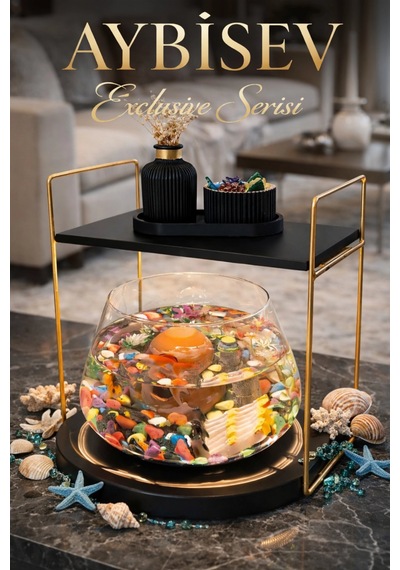 Reyo Ok-ay Store Düz Raflı Işıklı Lüks Cam Fanus İçinde Beta Balığı İçin Özel Tasarım Masa Üstü Dekoratif Akvaryum Gold-siyah