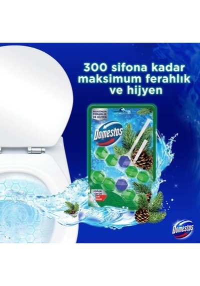 Yoğun Parfümlü Çam Ormanı İle Wc Blok Ürünü