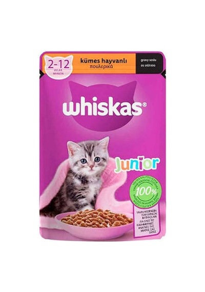 Northcity Pouch Soslu Yavru Kedi Konservesi 85 Gr - Kuş Etli Ve Besleyici Beslenme